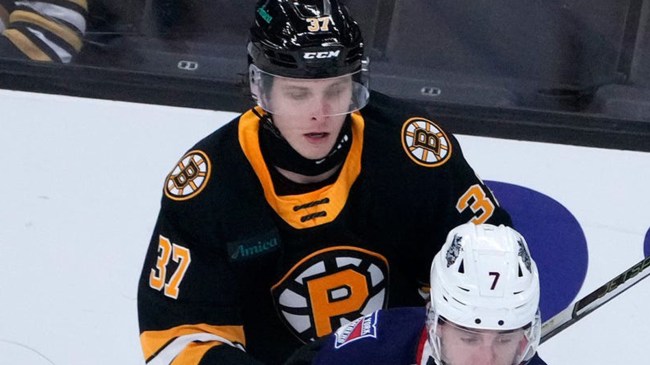 Providence Bruins player