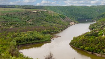 Scientists: Giant Organism May Have Been A Previously Unknown Life-Form