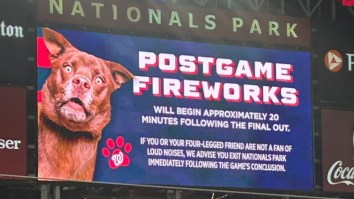Washington Nationals Traumatize Dogs And Dog Owners With Horrific Promotional Pairing