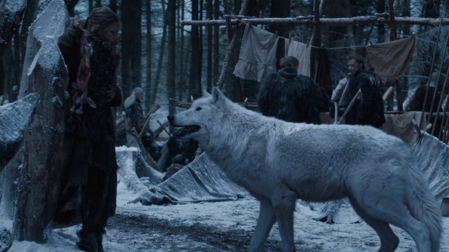 Dire wolf in Game of Thrones