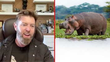 Pablo Escobar’s Hippos Are Out of Control In Colombia, and Forrest Galante Is Trying to Fix It