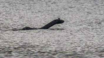 Resurfaced 1938 Police Report Reveals Clash With Group Hunting The Loch Ness Monster