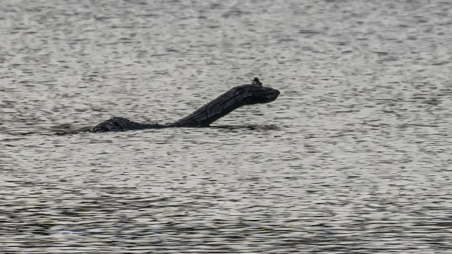 Loch-Ness-monster