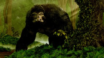 Michigan Fishermen Report Terrifyingly Close Encounter With Bigfoot