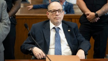 Candace Owens Gave Harvey Weinstein A Platform Which He Used To Proclaim His Innocence, Call Out Gwyneth Paltrow