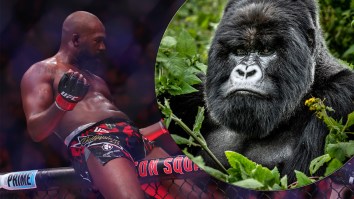 UFC Champion Jon Jones Shares His Take On The 100 Men Vs. 1 Gorilla Debate