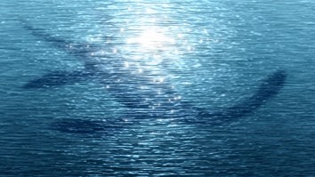 Loch Ness Monster Caught On Camera By American Tourist After Spotting ‘Several Serpent-Like Humps’