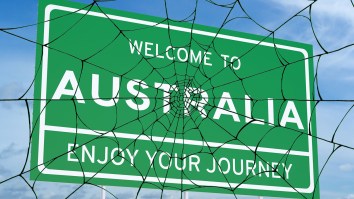 A ‘Spider Apocalypse’ Is Blanketing Whole Forests In Spider Webs In Australia Right Now