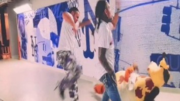 Mets Finding Increasingly Cruel Ways To Torture Their Bronx Mascot; Beat It With Chairs, Assaulted By The Hardy Boyz