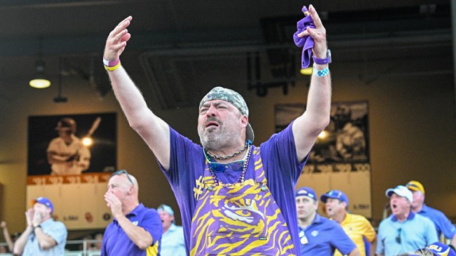 LSU baseball fans react to a call on the field