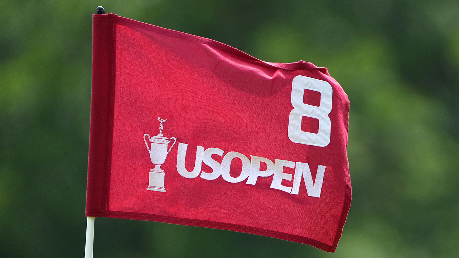 fantasy football punishment US Open