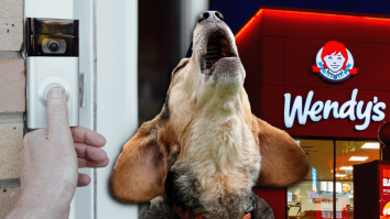 Wendy’s Has Been Terrorizing Dog Owners For Over A Month With A Ring Doorbell Commercial That Has To Stop