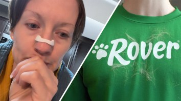 ‘Totally Incompetent’: Denver Woman Hires Pet Sitter Through Rover. Then They Feed Her Dog Traeger Grilling Pellets Instead Of Dog Food