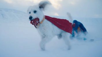 Krypto’s Role In ‘Superman’ Has Led To Seismic Spike In Google Searches For ‘Adopt A Dog Near Me’