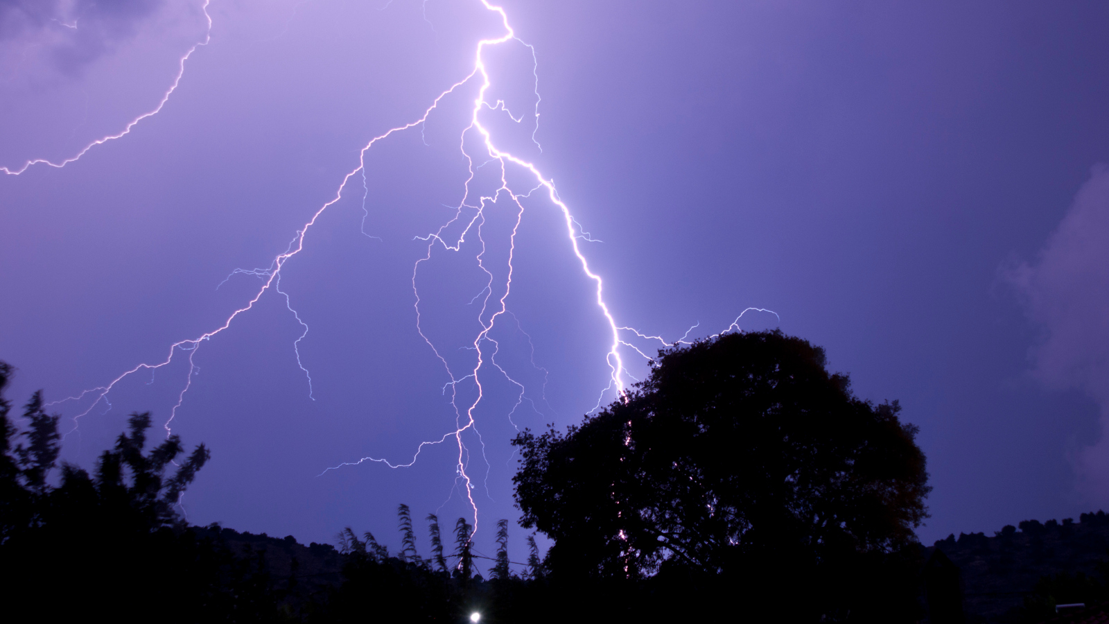 lightning strikes large tree in Maine