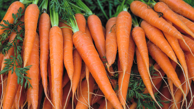 meth-hidden-in-carrots