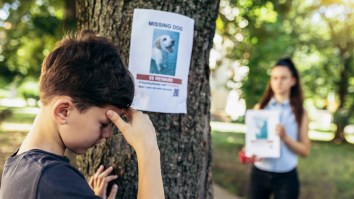 Dog Missing For 8 Years After Texas Hurricane Found 300 Miles Away In Public Bathroom: ‘Microchips Work’