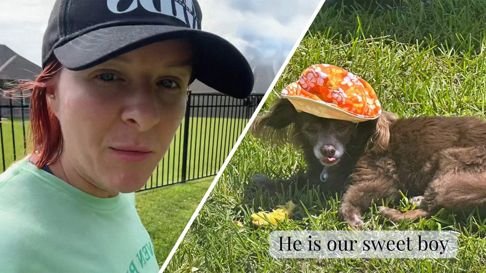 Woman explains she lost her dog(l) Small puppy laying down on grass(r)