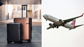 ‘They’ve Emptied The Plane Toilet’: Woman Goes To Baggage Claim After Landing In New York. Then She Sees What Happened To Her Luggage