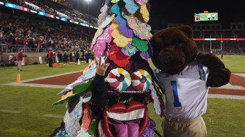 The 13 Most Unhinged Mascots In College Sports