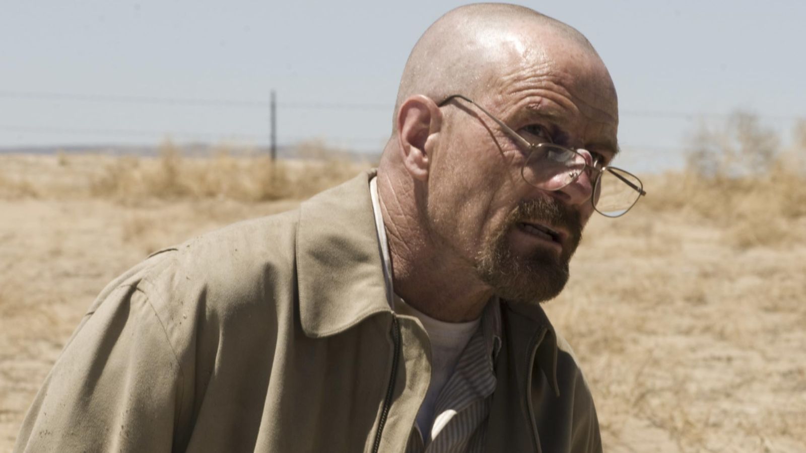 Breaking Bad's 21 Missed Easter Eggs Are Actually Quite Revealing