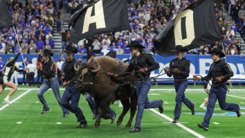 Colorado Retires Live Buffalo Mascot Ralphie VI For The Most Hilarious And Relatable Reason Ever