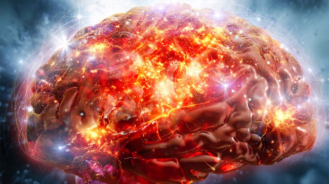 Human-brain-neuron-activity