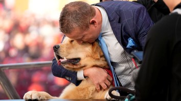 Kirk Herbstreit’s Dog Peter Poops On ‘College GameDay’ Set During Live Show Leading To Awkward Moment