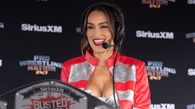 Nikki-Bella-at-WWE-SummerSlam
