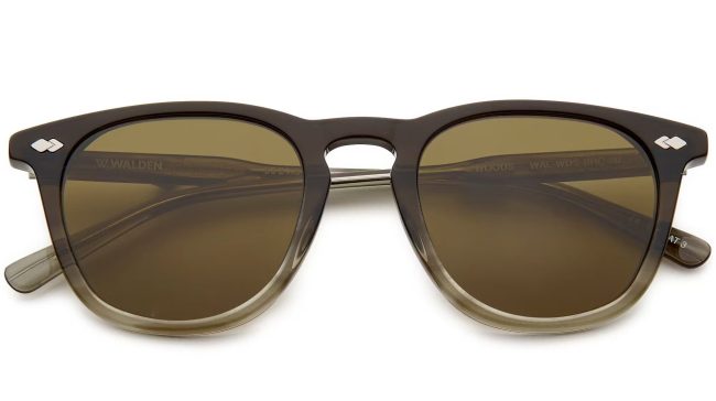 Walden Eyewear Woods Polarized Sunglasses