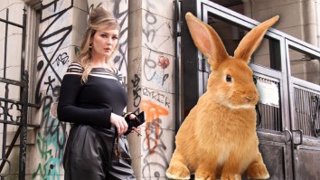 Pet Bunnies Abandoned In New York City Traced Back To Fake Heiress Anna Delvey’s Photoshoot