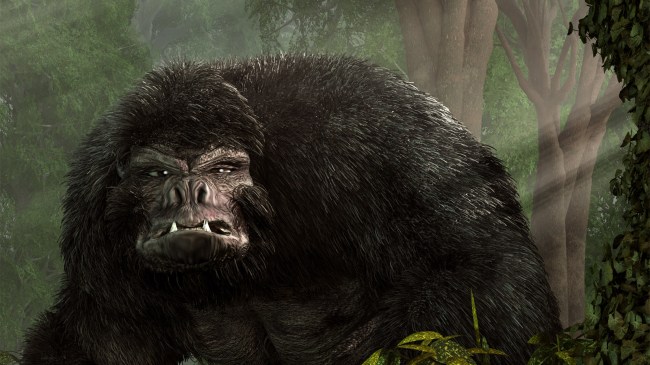 bigfoot-sasquatch-in-the-woods