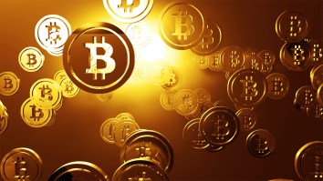 The Guy Who Spent 12 Years Looking For Lost Bitcoin Hard Drive Worth $950 Million Has Reportedly Given Up, Or Has He?