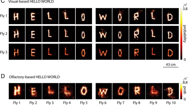 hello-world-flies-microbots