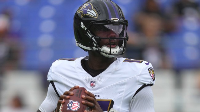 Ravens QB Josh Johnson