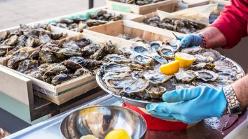 Meathead’s ‘Oyster Eating Challenge’ Is Testing The Limits Of Gains. He Is Doubling His Oyster Intake Daily Until He Can’t