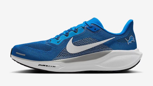Pegasus 41 shoes for Lions