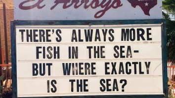 Stop Scrolling And Enjoy The Internet’s 51 Best Memes This Week