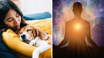 Why Is Edgar Cayce’s Prophecy About Dogs Already ‘Coming True’ In 2025?