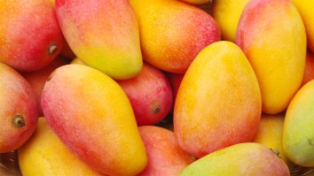‘Smuggling Attempt Soured’: Federal Agents In Texas Seize Over $16M Worth Of Meth Hidden In Shipment Of Frozen Mangos