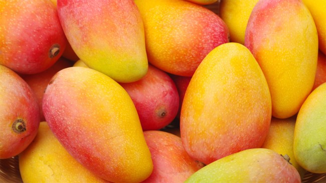 mangos