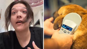 ‘Your Pet’s Being Held Hostage’: Arizona Woman Gets Dog Microchipped. Then She Calls Customer Service And Realizes She Was ‘Scammed’