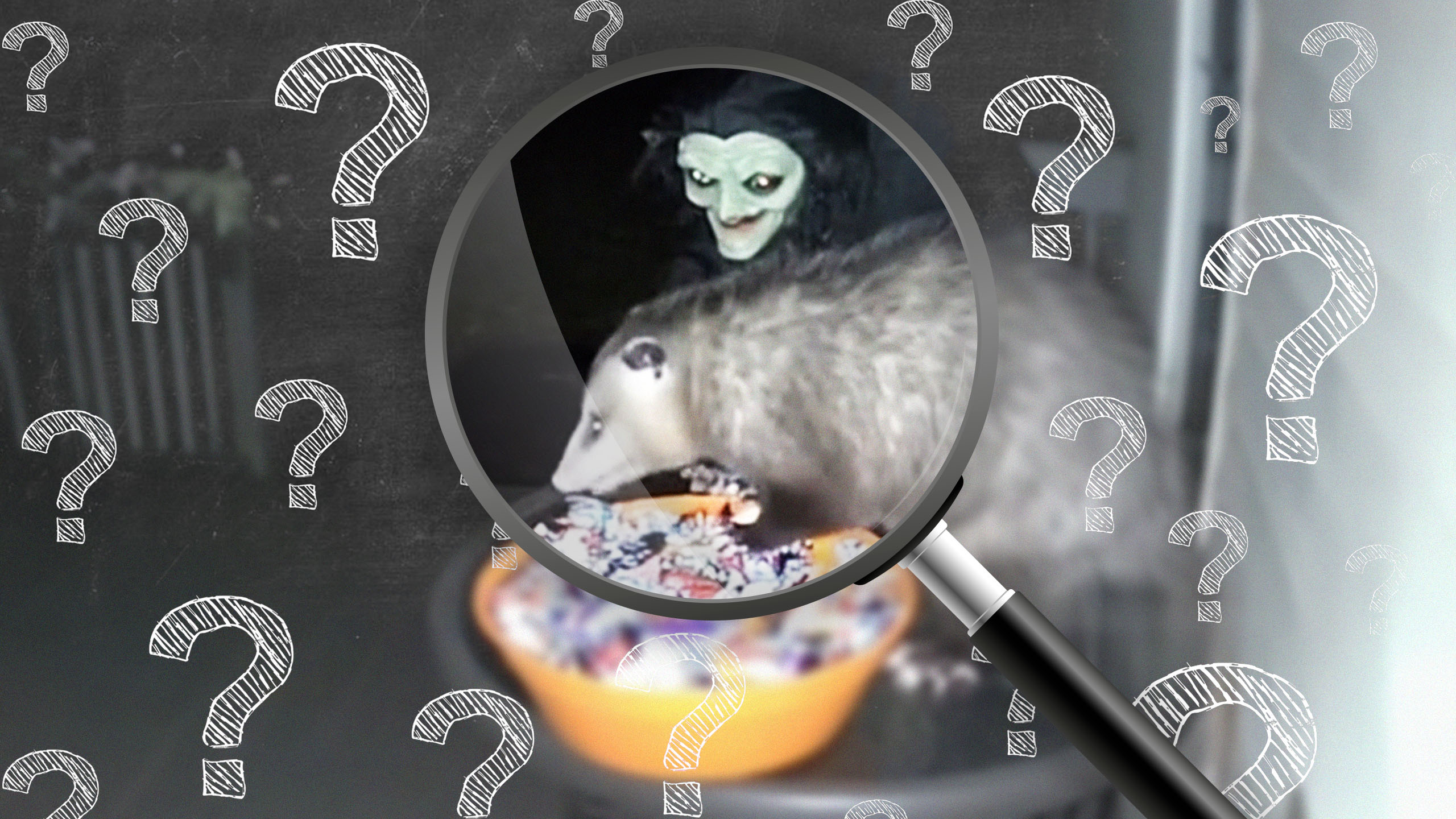 blurred view of possum in motion after being scared(l) Possum eating Halloween candy outside of home(r)